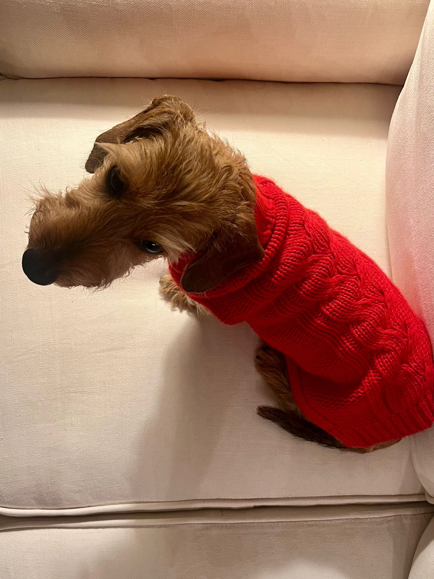 LUDOMOI Luxury Christmas Capsule - MILANO Sweater ROUGE