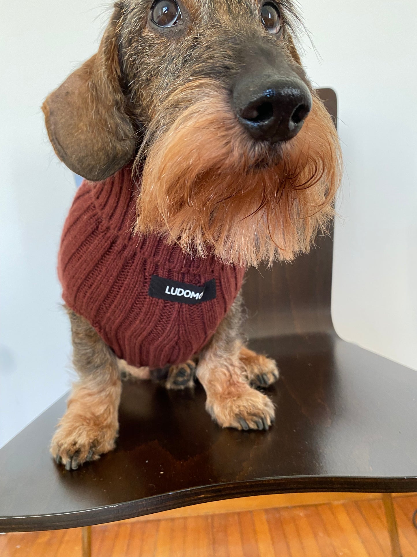 RUE JACOB MARRON GLACÉ