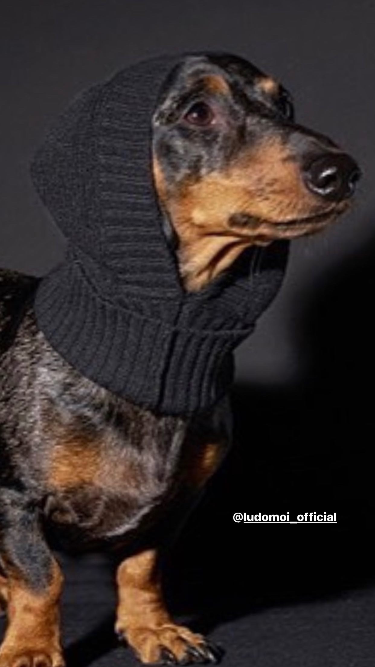 NOTRE DÂME BALACLAVA BLACK