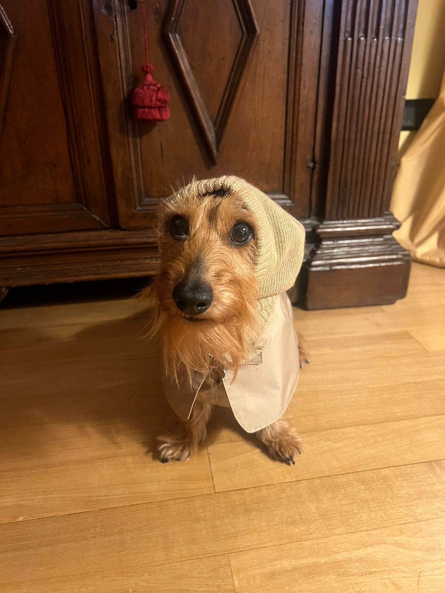NOTRE DAME Balaclava CAMEL