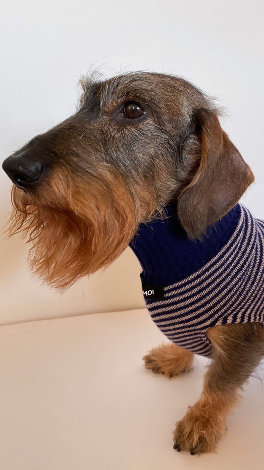 RUE CAMBON Sweater BLEU FRANCE ( new color fw 2025 )