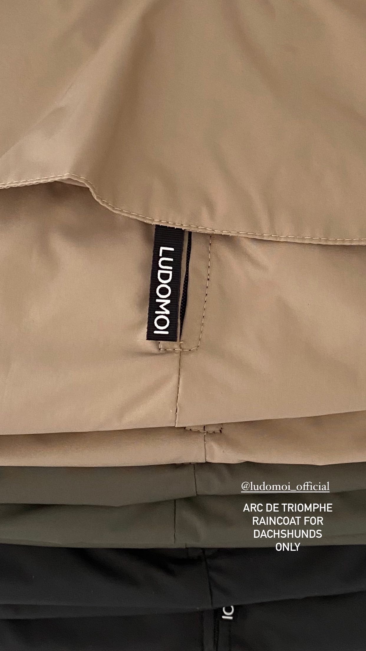 ARC DE TRIOMPHE DACHSHUND RAINCOAT