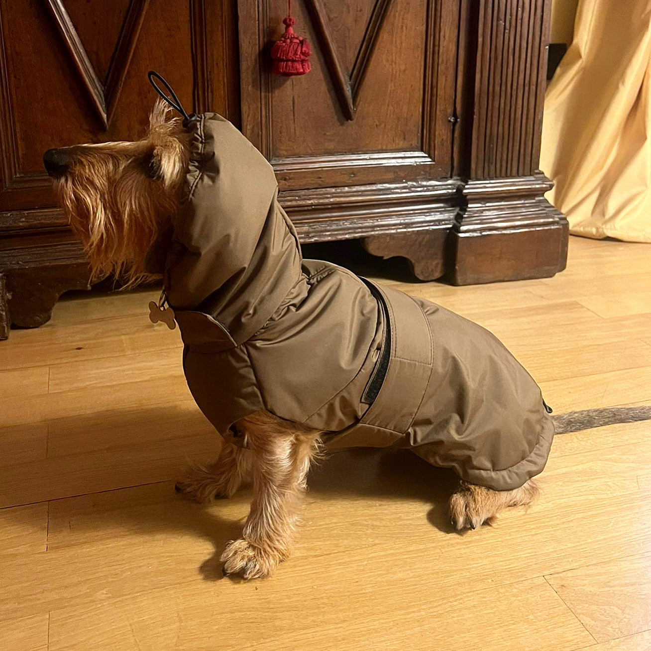 " LE LOUVRE DACHSHUND RAINCOAT" 80 GRAMS ( Loose Fit )MID-SEASON