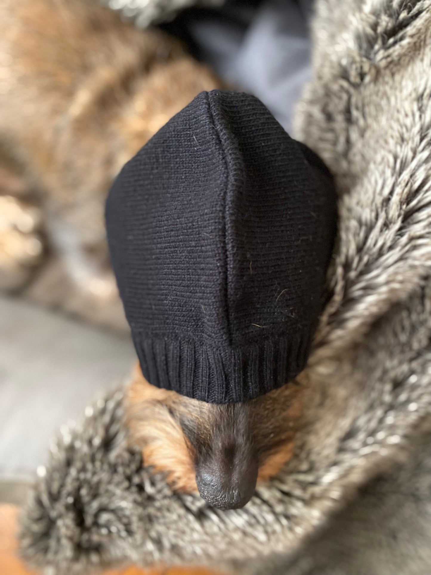 NOTRE DÂME BALACLAVA BLACK
