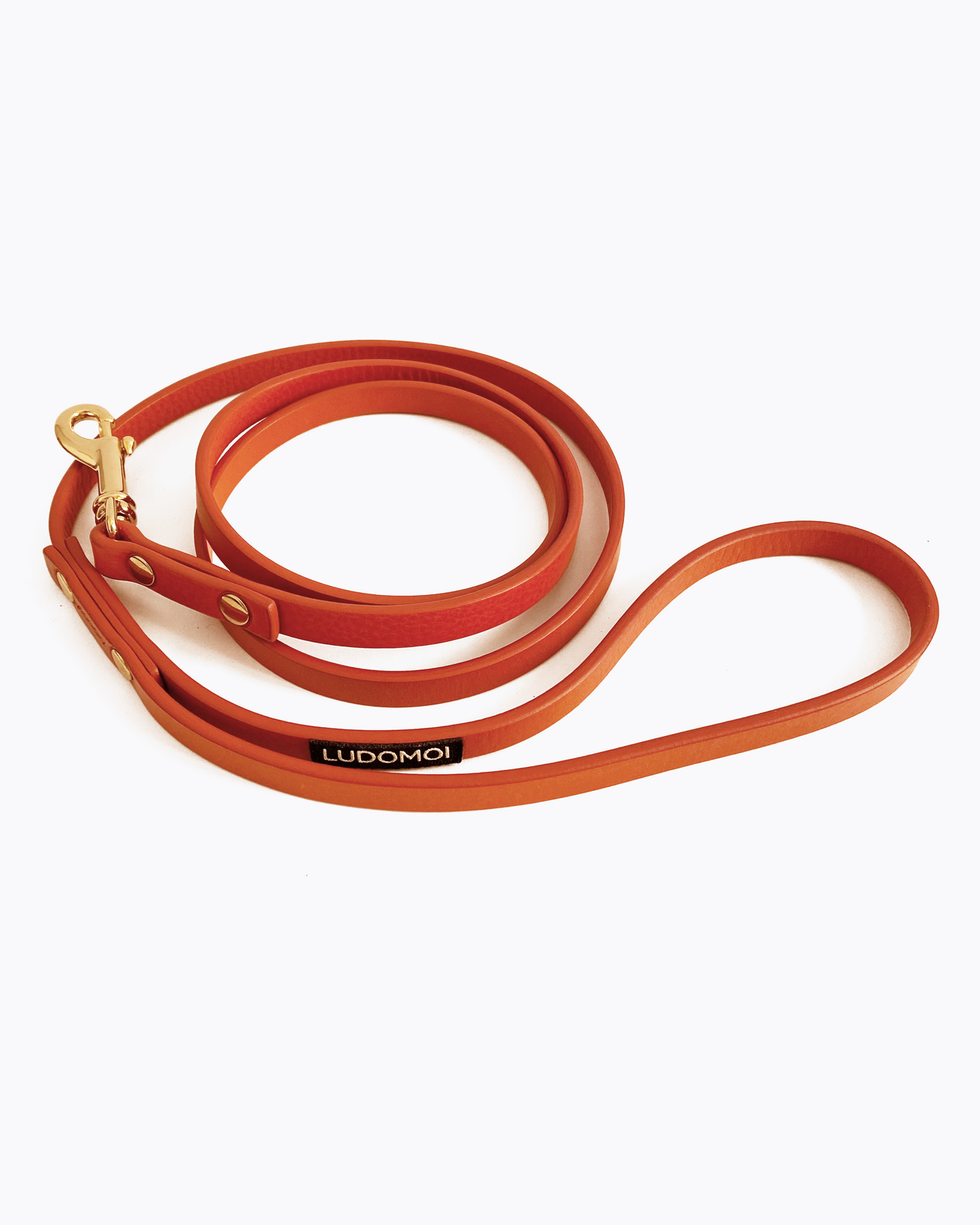 LUDOMOI LEATHER LEASH FOR DACHSHUND CM 140 - LIGHT GOLD