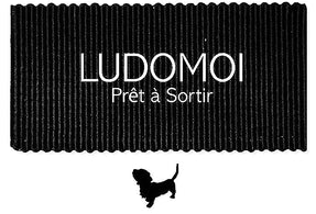 LUDOMOI Prêt a’ Sortir