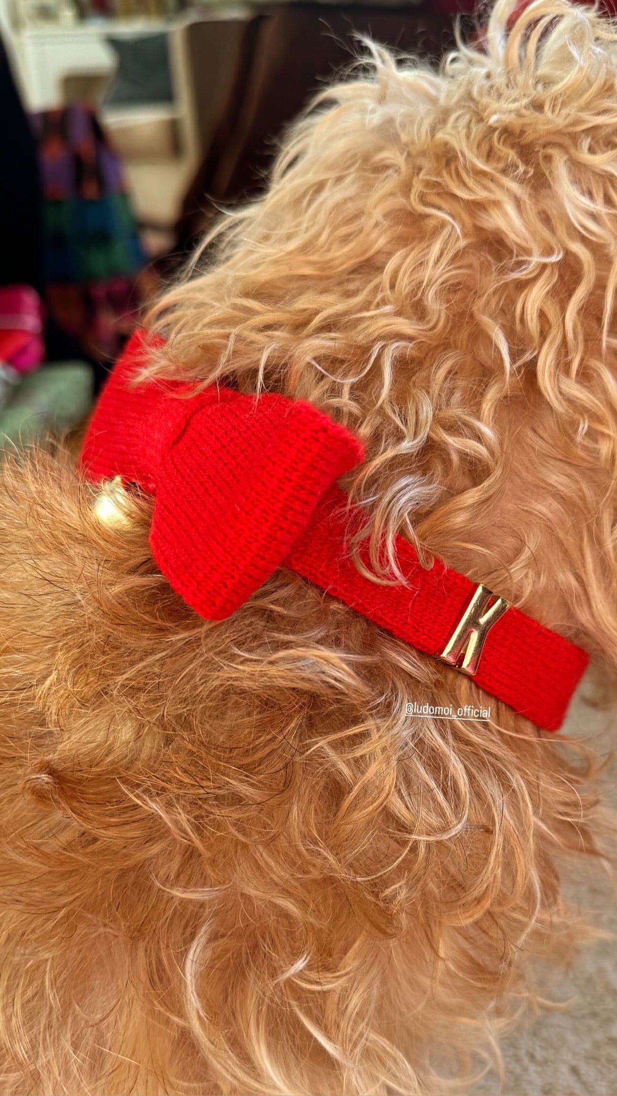 COLLIER NÖEL BOW ROUGE Add your letter ♥️