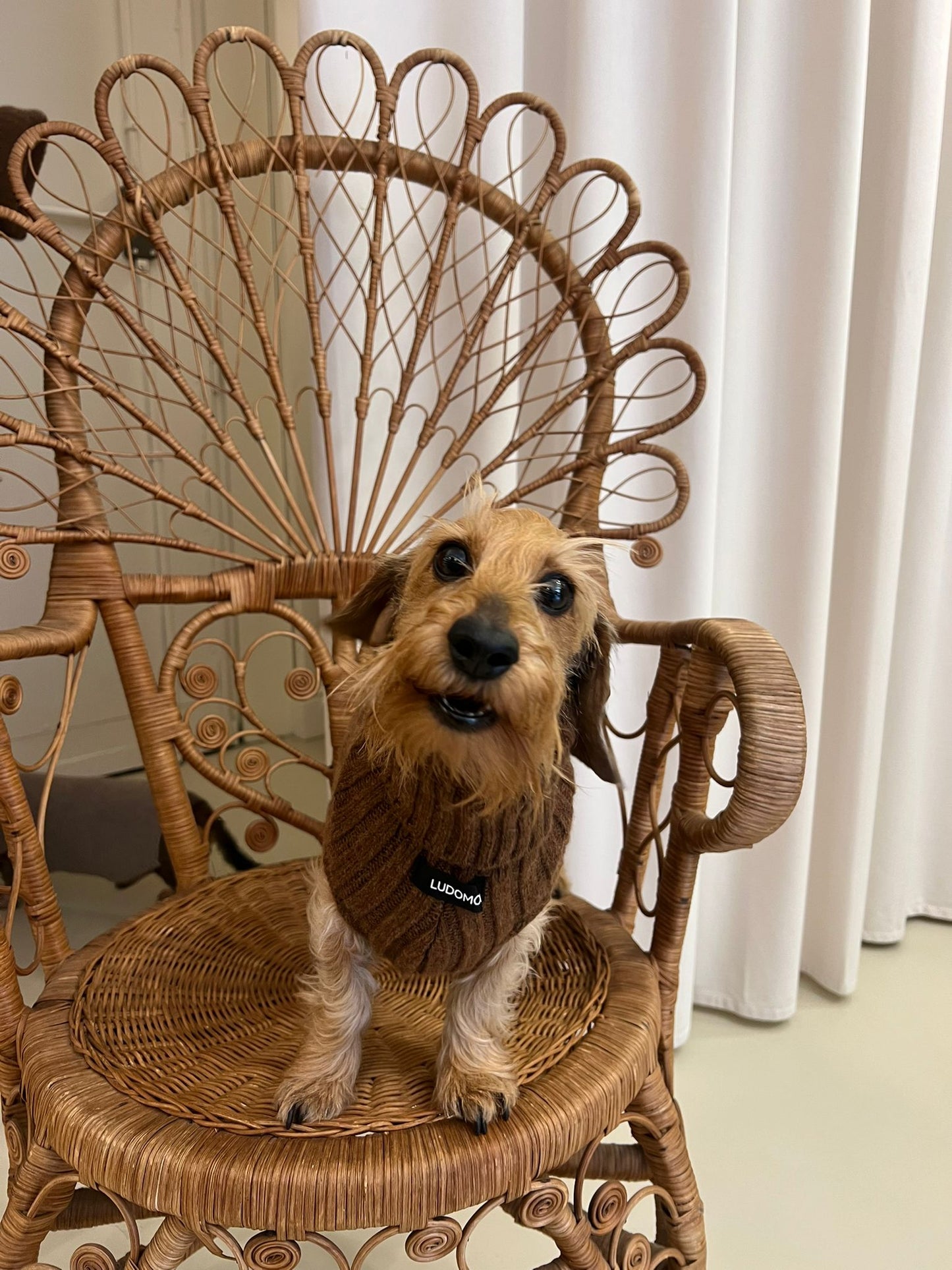 RUE JACOB COCONUT BROWN