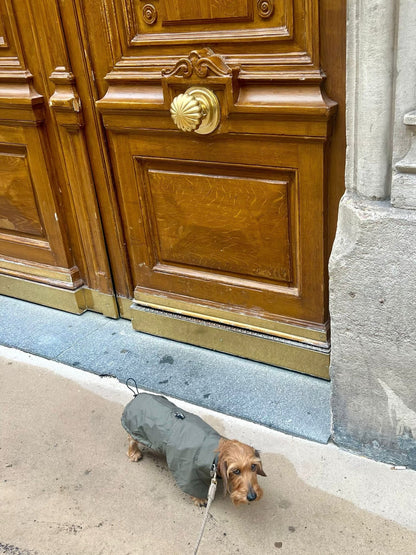 ARC DE TRIOMPHE DACHSHUND RAINCOAT