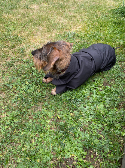 ARC DE TRIOMPHE DACHSHUND RAINCOAT