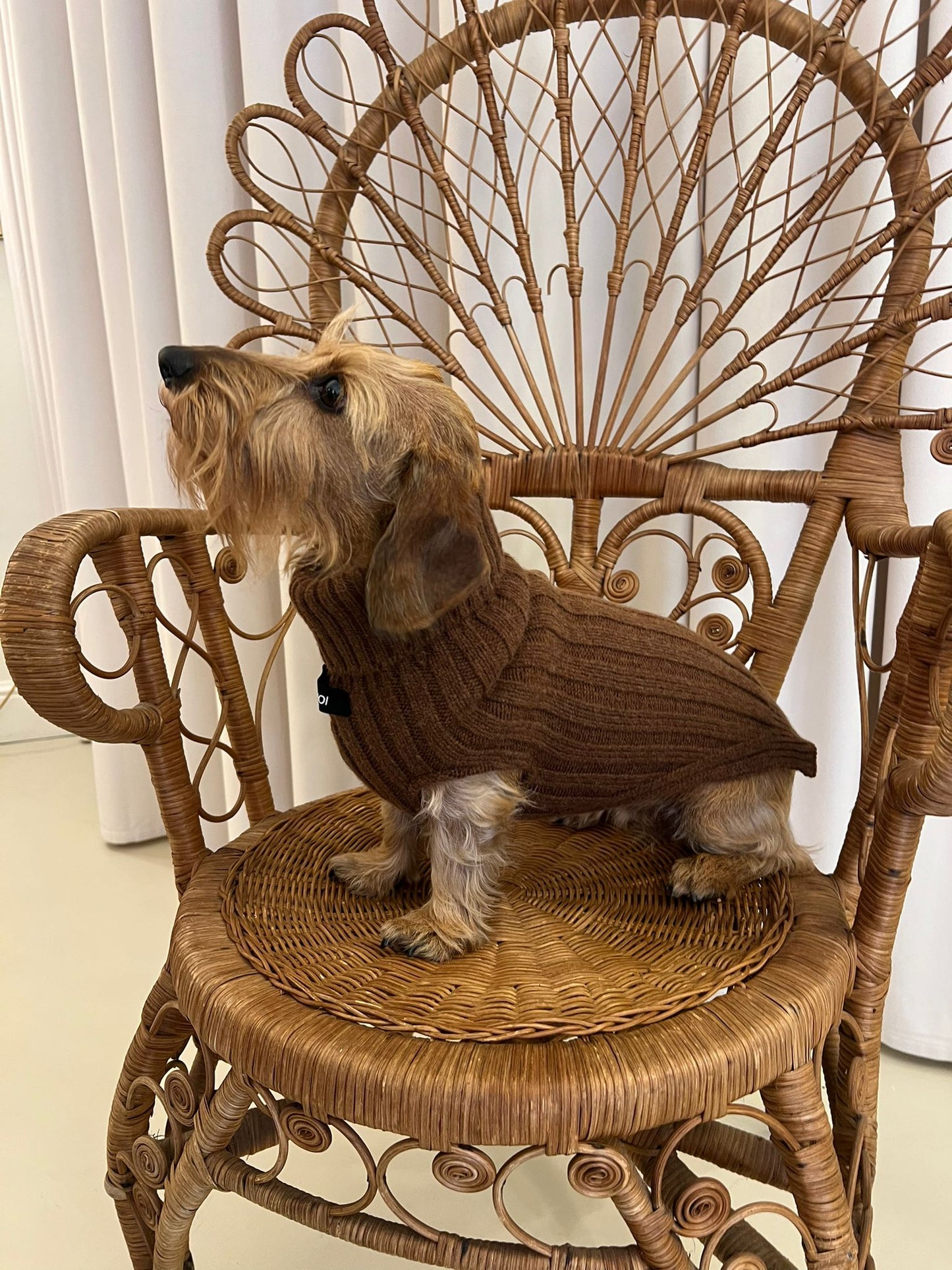 RUE JACOB COCONUT BROWN