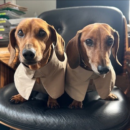 ARC DE TRIOMPHE DACHSHUND RAINCOAT