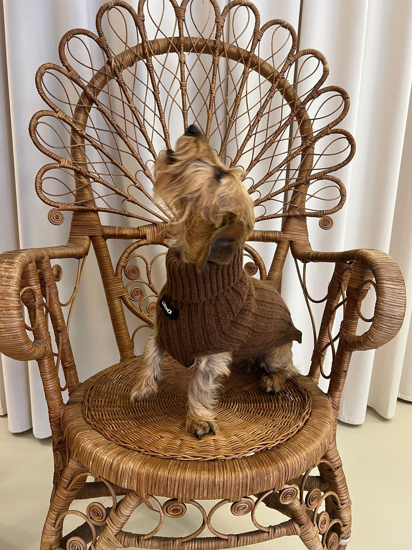 RUE JACOB COCONUT BROWN