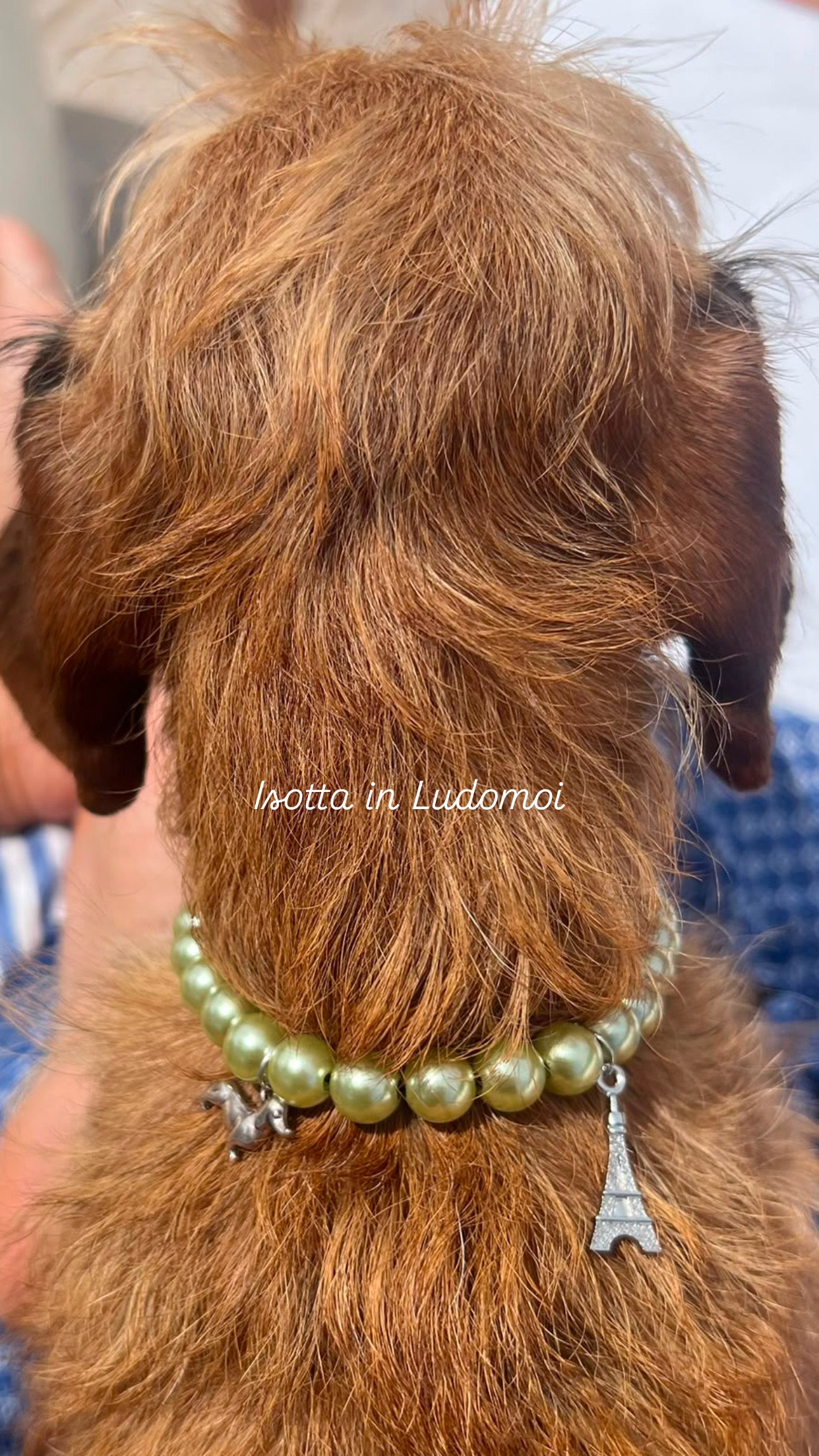 Necklace PARIS MON AMOUR Spring Summer 2026