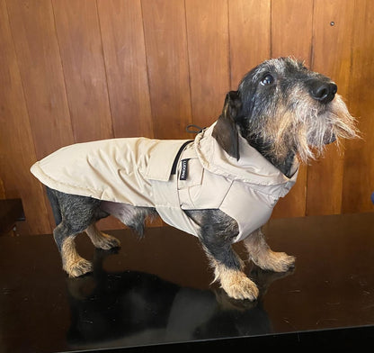 " LE LOUVRE DACHSHUND RAINCOAT" 80 GRAMS ( Loose Fit )MID-SEASON