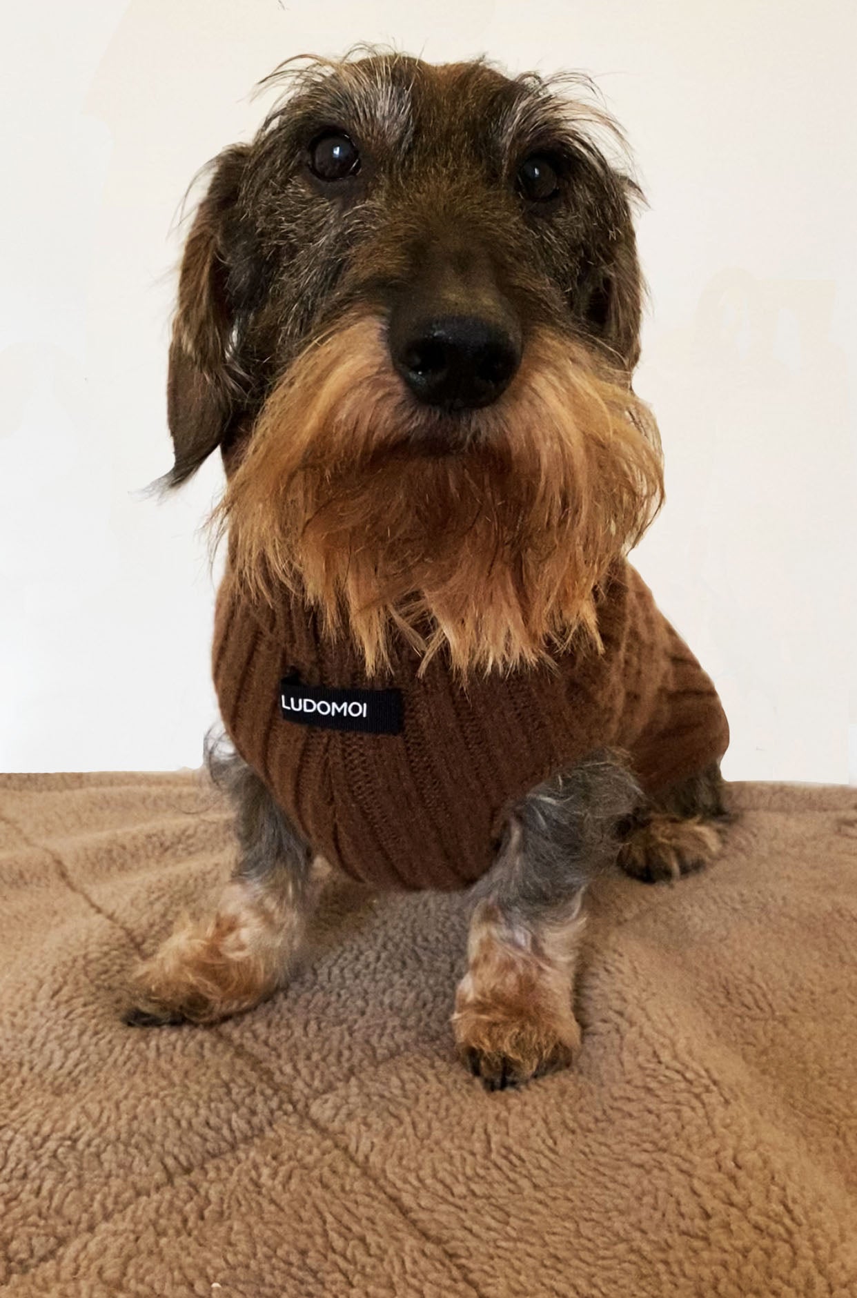 RUE JACOB COCONUT BROWN